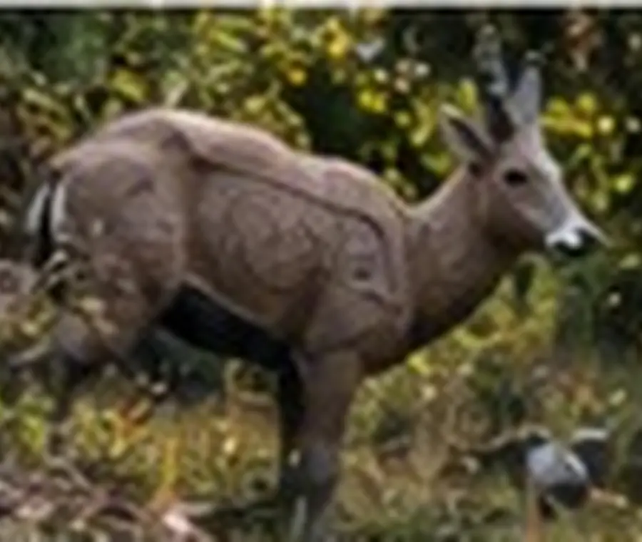 3D parkúr